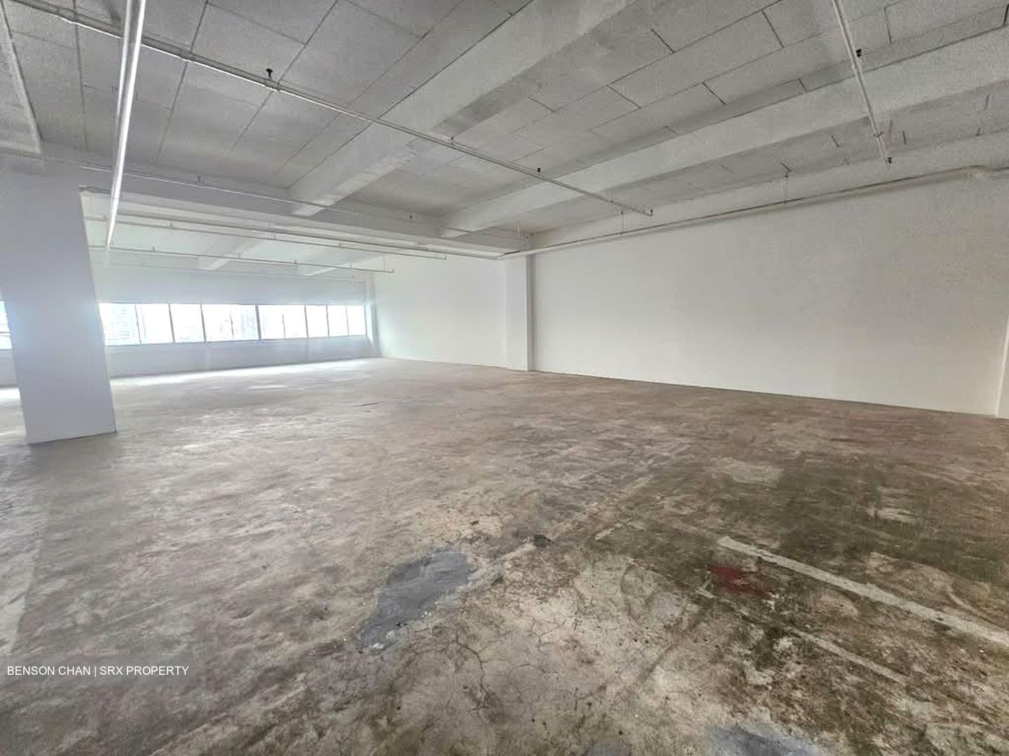 Perfect One (D13), Warehouse #567503841